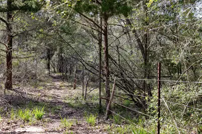 Tbd Hwy 90, Sheridan, TX 77475 - Photo 28