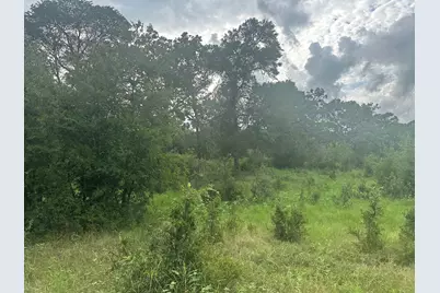 8616 Schuster Road, Round Top, TX 78954 - Photo 6