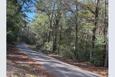 Lot 2 John Keely Road, Zavalla, TX 75980 - Photo 4