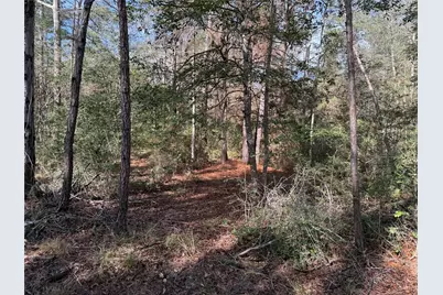 Lot 2 John Keely Road, Zavalla, TX 75980 - Photo 2