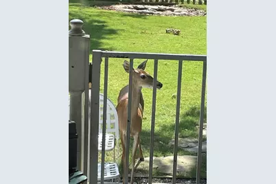 19018 Veterans Road, Magnolia, TX 77355 - Photo 14