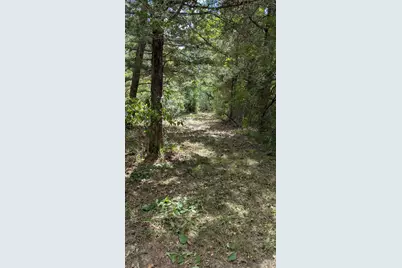 5425 County Road 114, Centerville, TX 75833 - Photo 6