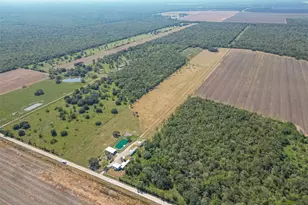 16631 Baker Cr 522 Rd, Guy, TX 77444 - Photo 10
