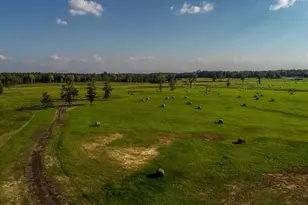 3280 N Fm 450, Hallsville, TX 75650 - Photo 26