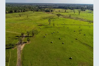 3280 N Fm 450, Hallsville, TX 75650 - Photo 28