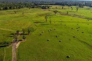 3280 N Fm 450, Hallsville, TX 75650 - Photo 28