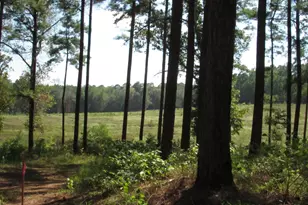 0008 Fm 256 N, Woodville, TX 75979 - Photo 1