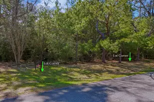 15245 Shady Oaks Dr, Stagecoach, TX 77355 - Photo 4