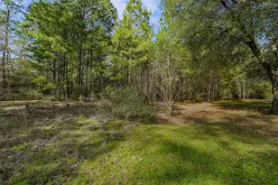 15245 Shady Oaks Dr, Stagecoach, TX 77355 - Photo 2