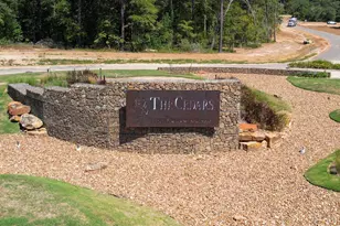 9601 Old Cedars Ct, Plantersville, TX 77363 - Photo 1