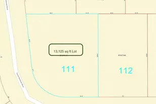 Tbd Lot 111 Texas National, Willis, TX 77378 - Photo 4