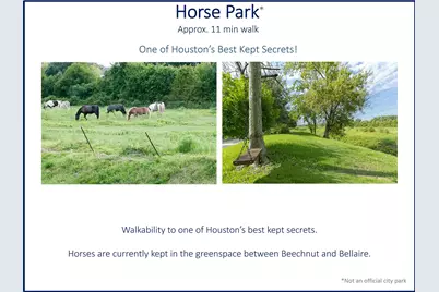 3852 Gramercy Street, Houston, TX 77025 - Photo 32