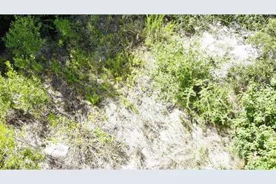 O Schlitz, Hitchcock, TX 77563 - Photo 22