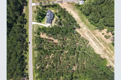 15625 Forest Grove Drive, Willis, TX 77378 - Photo 28