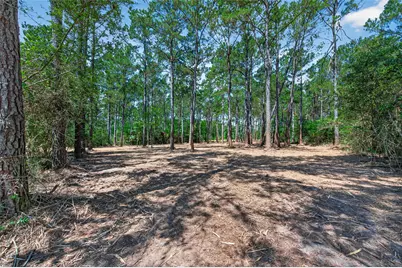 15625 Forest Grove Drive, Willis, TX 77378 - Photo 6