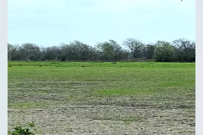 0 County Road 172, Garwood, TX 77442 - Photo 6