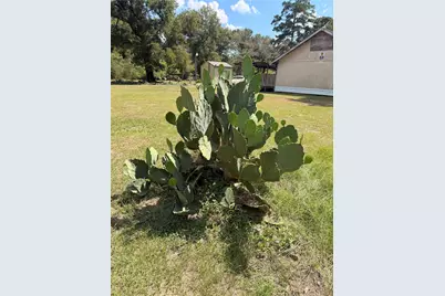 200 Dr Martin Luther King Jr Place S, Conroe, TX 77301 - Photo 24