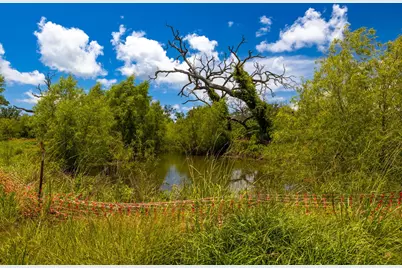 411 County Road 282, Sargent, TX 77414 - Photo 4