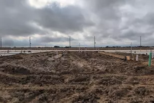 26239 Venus Trap Trail, Katy, TX 77493 - Photo 2