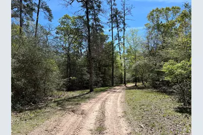 9296 County Road 302, Plantersville, TX 77363 - Photo 4