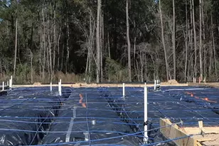 8034 Ice House St, Montgomery, TX 77316 - Photo 4