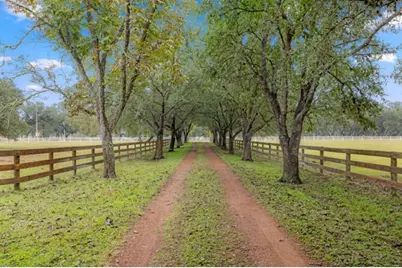1131 Greak Road, Sheridan, TX 77475 - Photo 2