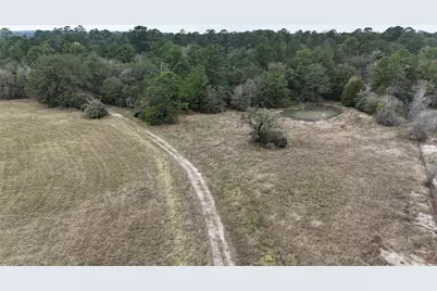 Tbd Tract 1 Percy Howard Road, Huntsville, TX 77320 - Photo 4