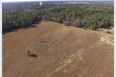 Tbd Tract 1 Percy Howard Road, Huntsville, TX 77320 - Photo 12