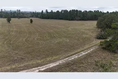 Tbd Tract 1 Percy Howard Road, Huntsville, TX 77320 - Photo 8