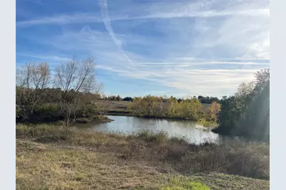 9381 Fm 1486 Road, Anderson, TX 77830 - Photo 12