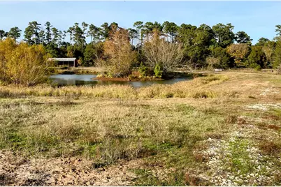 9381 Fm 1486 Road, Anderson, TX 77830 - Photo 8