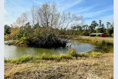 9381 Fm 1486 Road, Anderson, TX 77830 - Photo 6