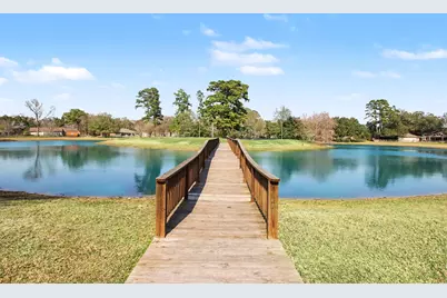 22911 Wren Lane, Tomball, TX 77377 - Photo 40