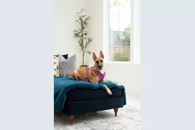 625 Piney Point Road, Houston, TX 77024 - Photo 14