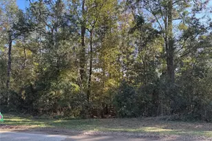 Tbd Hunters Trail, New Caney, TX 77357 - Photo 2