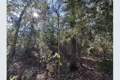 Tbd Hunters Trail, New Caney, TX 77357 - Photo 6