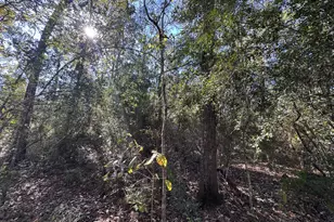 Tbd Hunters Trail, New Caney, TX 77357 - Photo 6