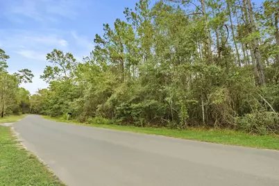 Tbd County Road 201 Loop, Plantersville, TX 77363 - Photo 6
