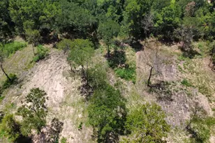 Tbd County Road 201 Loop, Plantersville, TX 77363 - Photo 1