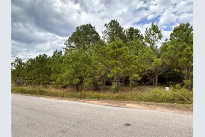 3116 County Road 3479B, Cleveland, TX 77327 - Photo 2