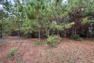 3116 County Rd 3479B, Cleveland, TX 77327 - Photo 1