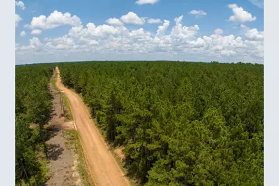 T-3 Benny Griffin Road, Livingston, TX 77351 - Photo 14