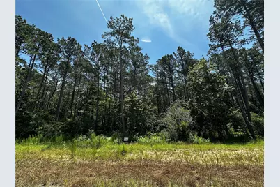 11885 Dawn Tree Lane, Willis, TX 77378 - Photo 6