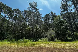 11885 Dawn Tree Ln, Willis, TX 77378 - Photo 1