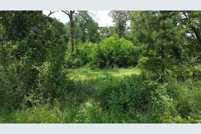 Tbd County Road 4030, Crockett, TX 75835 - Photo 12