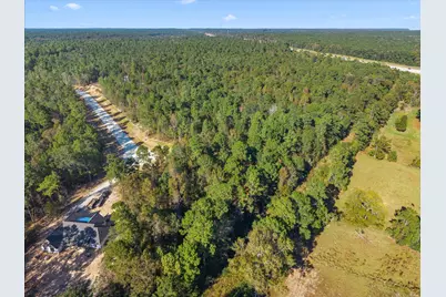 195 Bunkhouse Road, New Waverly, TX 77358 - Photo 6