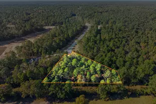 195 Bunkhouse Rd, New Waverly, TX 77358 - Photo 1