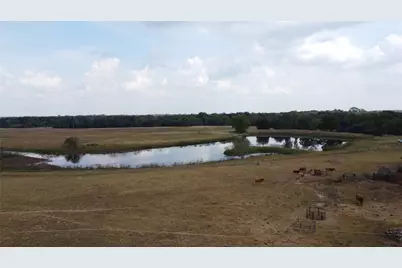 0 Fm 3346, Hempstead, TX 77445 - Photo 10