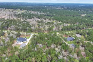 10752 Ruger Rd, Willis, TX 77378 - Photo 6