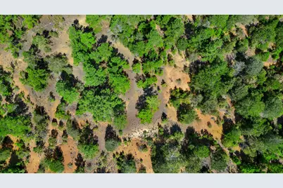 000 Fcr 255, Fairfield, TX 75840 - Photo 10